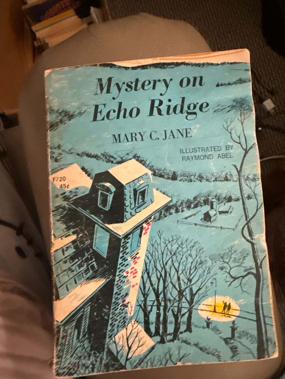 Mystery on Echo Ridge by Mary C. Jane - Vintage 1959 Young Readers Press Paperba